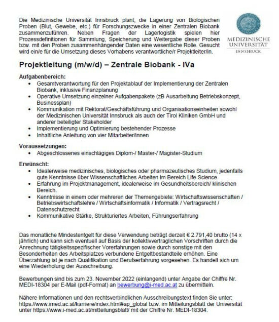 Screenshot of the job announcement in German