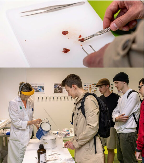 A picture of two hands holding a scapel and tweezers to pick up tissue. Below a picture of four people watching a scientist shock-freezing tissue with liquid nitrogen.