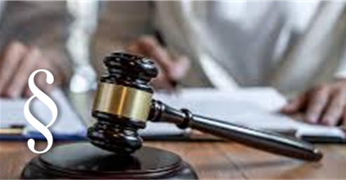 News Article Thumbnail